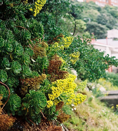 photos from Wellington, New Zealand