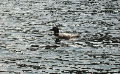 Crooked Lake, near Kelowna, BC